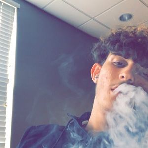 Meet your Posher, Gavin